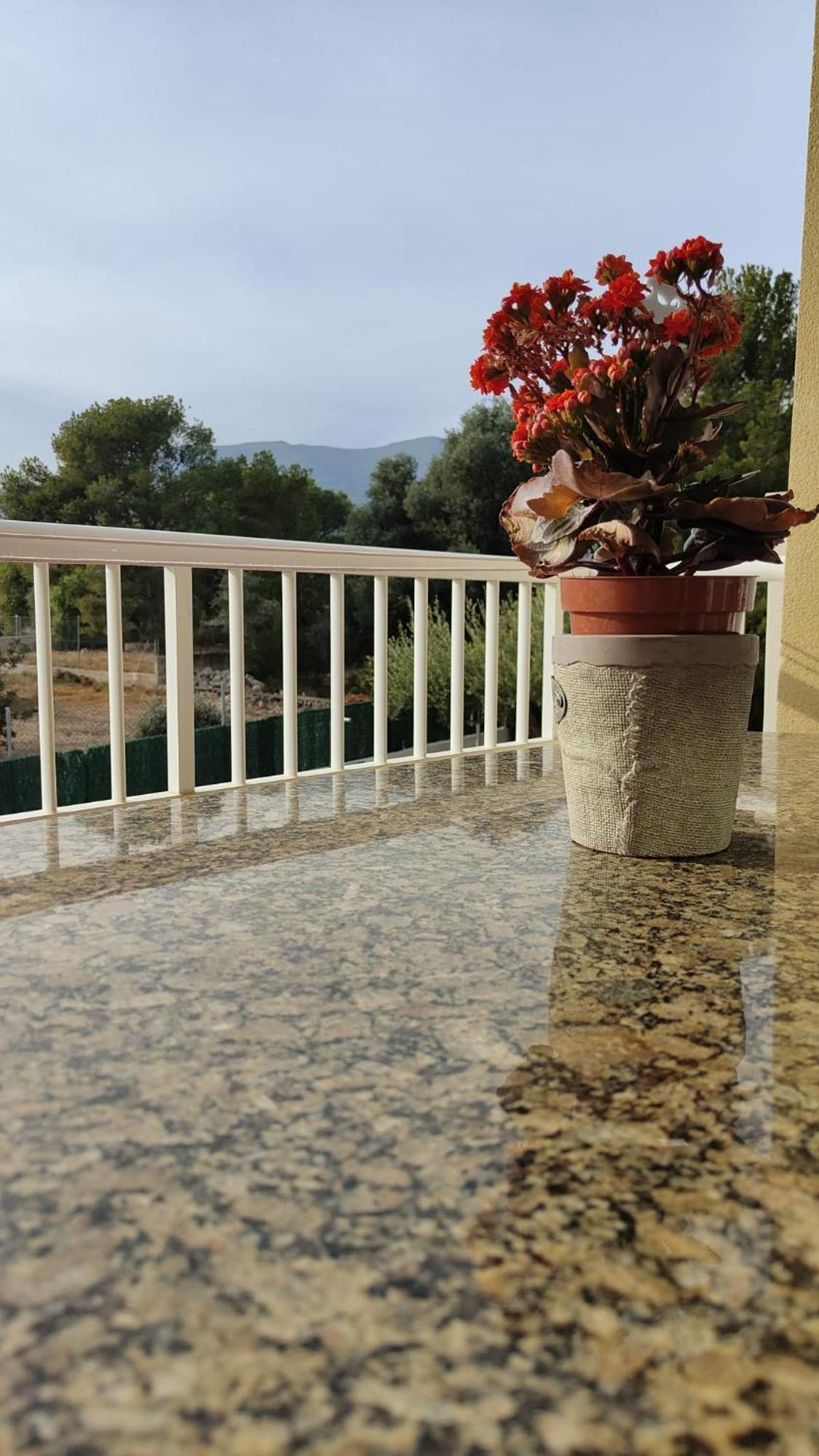 Apartamentos Montsia Mar Sant Carlos de la Ràpita Екстериор снимка